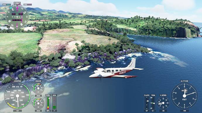 Microsoft Flight Simulator 5_31_2021 11_58_37 AM