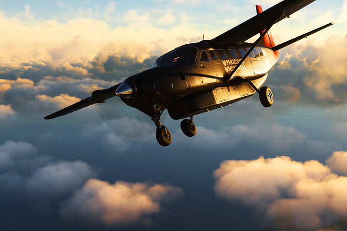 Cessna 208B Grand Caravan 2