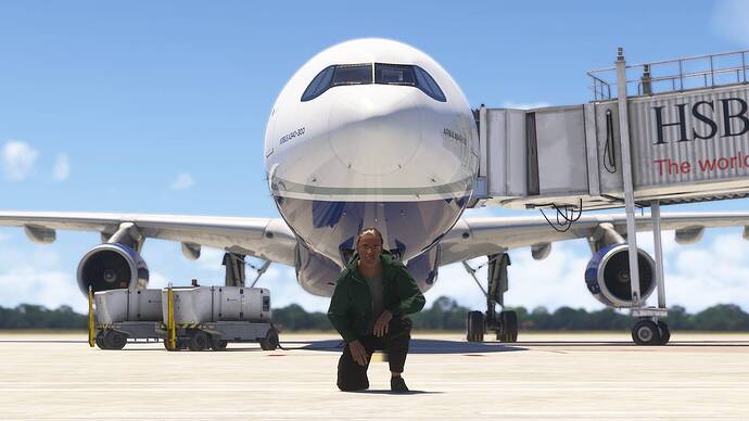 Microsoft Flight Simulator 2024-2025_12_30-00-29-43