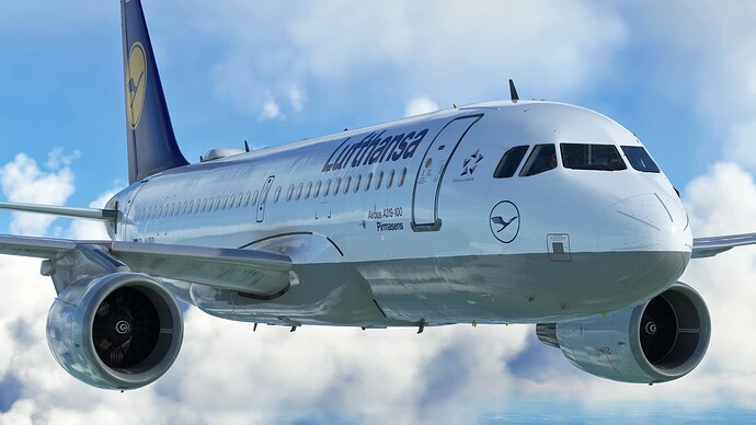 Microsoft Flight Simulator (9)