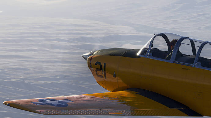 Microsoft Flight Simulator 2024-2026_01_17-02-12-01