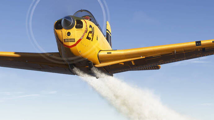 Microsoft Flight Simulator 2024-2026_01_17-02-14-10