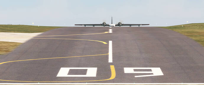 Peek-a-Boo Albatross