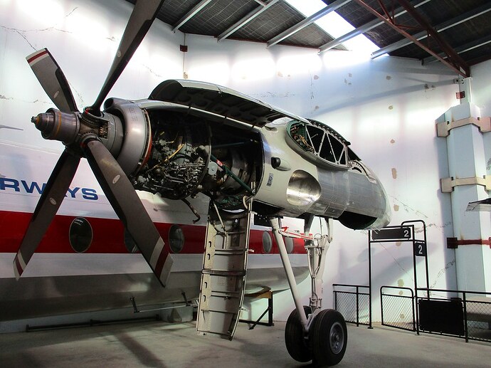 48611011882_173c6537a0_b