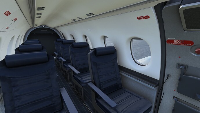 Microsoft Flight Simulator Screenshot 2023.07.08 - 18.55.54.86