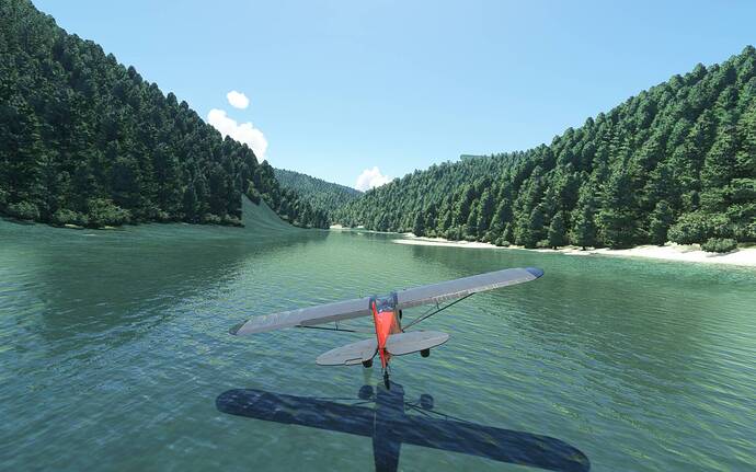 Microsoft Flight Simulator 17_08_2021 10_13_48 p.m.