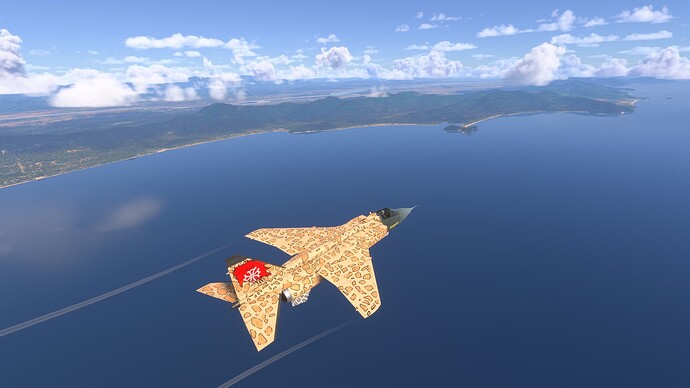 Microsoft Flight Simulator 2024-2025_05_10-09-05-48