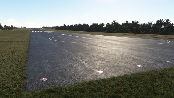 Microsoft Flight Simulator-2024_01_02-23-32-44