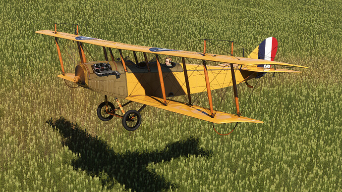 55058416517_c78d816e33_4k