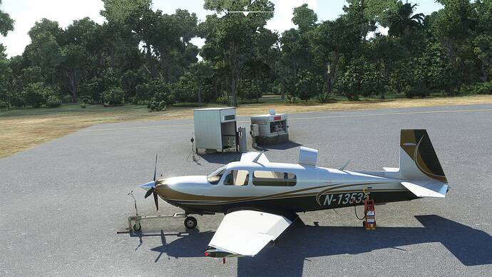 Microsoft Flight Simulator 17.08.2021 09_13_53