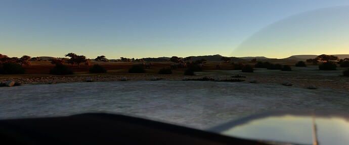 Microsoft Flight Simulator 8_14_2023 21_53_27