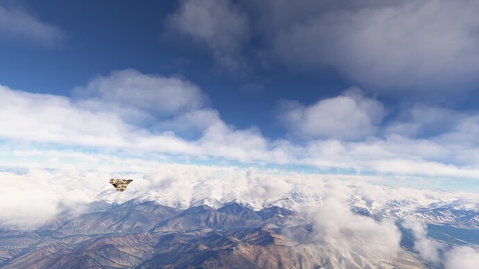 Microsoft Flight Simulator-2025_03_01-19-55-58 (1)