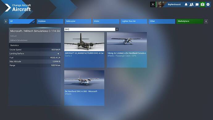 Microsoft Flight Simulator 2024 - 1.2.8.0 2025-01-04 16_28_43