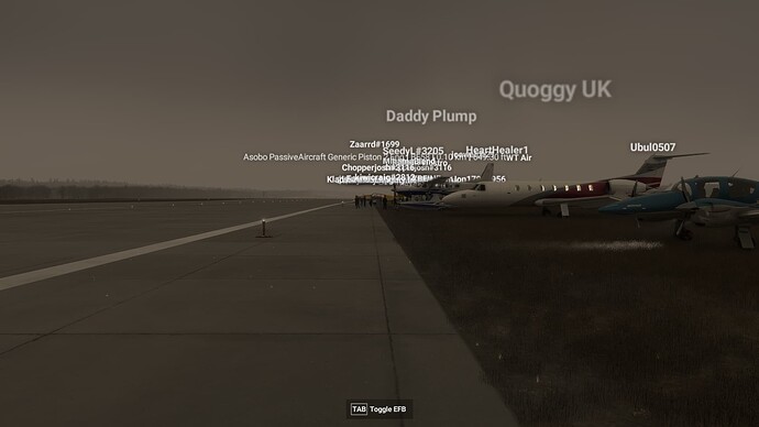Microsoft Flight Simulator 2024 20-12-2024 22_07_31