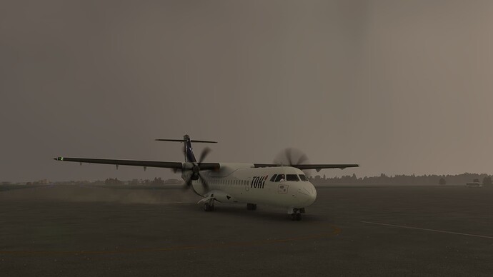 2024-11-03 17_50_38-Microsoft Flight Simulator - 1.38.2.0