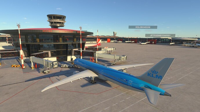 Microsoft Flight Simulator