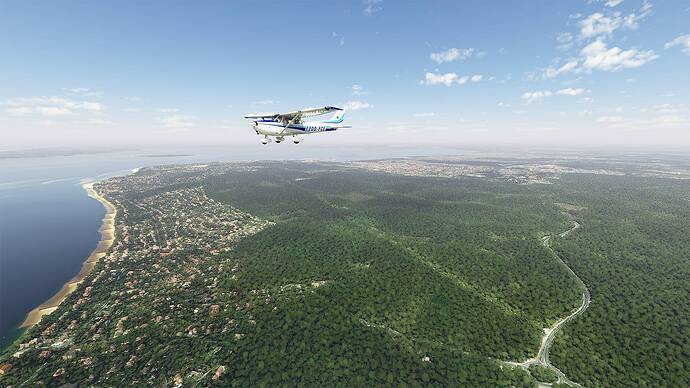 Microsoft Flight Simulator 2021-05-15 14_45_41