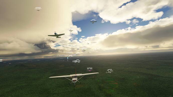 Microsoft Flight Simulator - 1.18.14.0 02.08.2021 22_45_42