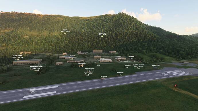 Microsoft Flight Simulator - 1.17.3.0 17.07.2021 21_12_29