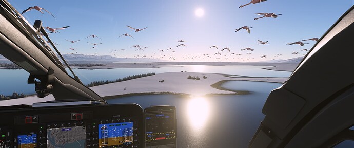 Microsoft Flight Simulator Screenshot 2022.03.09 - 05.30.22.16