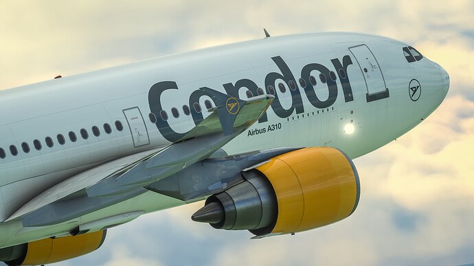 20230501_113405000_iOS