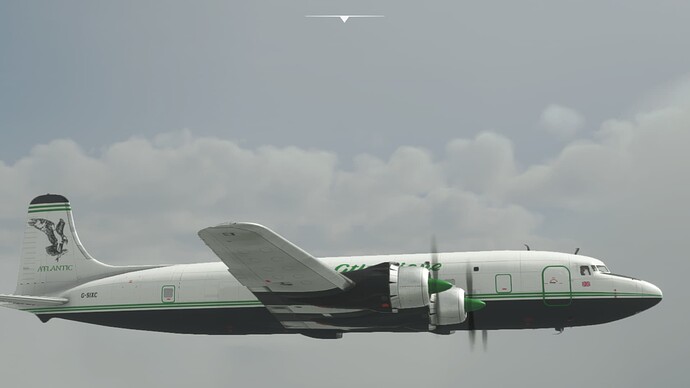 Microsoft Flight Simulator 14.12.2021 14_41_34