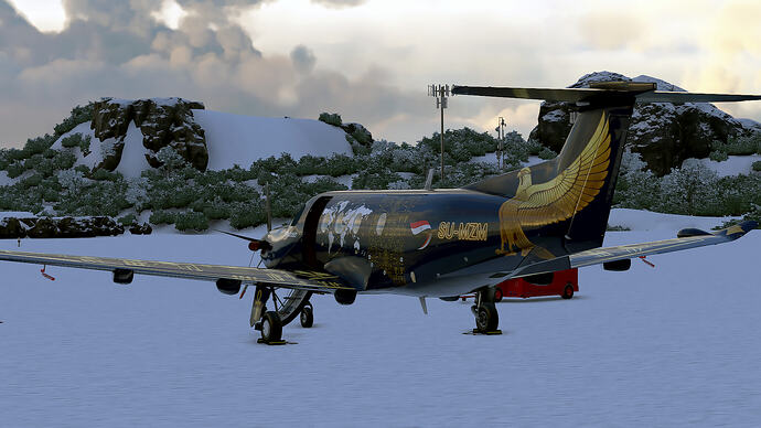 Microsoft Flight Simulator Screenshot 2026.05.20 - 01.04.04.09