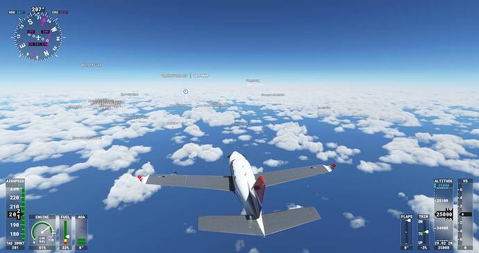 Microsoft Flight Simulator Screenshot 2021.08.08 - 22.27.44.04