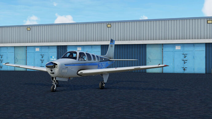 FS2020 2020-11-27 005