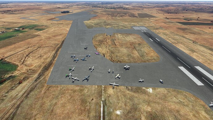 Microsoft Flight Simulator 3_24_2022 3_35_44 PM