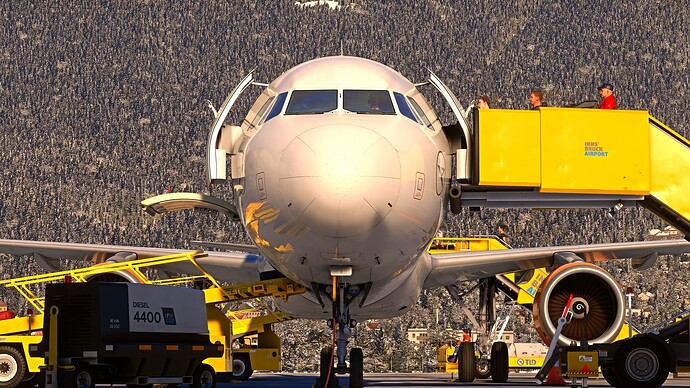 Microsoft Flight Simulator - 1.38.2.0 28.12.2024 20_06_34