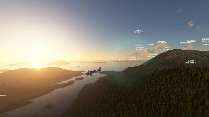 Microsoft Flight Simulator - 1.17.3.0 17.07.2021 20_44_59