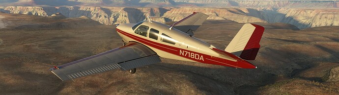 Microsoft Flight Simulator 8_18_2022 8_05_10 PM