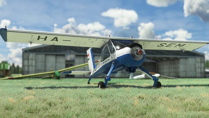 Microsoft Flight Simulator Screenshot 2023.07.30 - 21.27.26.87