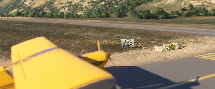 Microsoft Flight Simulator 2024 Screenshot 2025.01.22 - 16.49.52.51