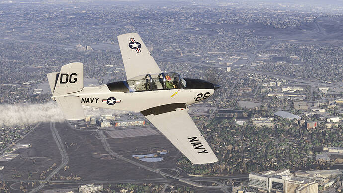 Microsoft Flight Simulator 2024-2026_01_14-18-03-37