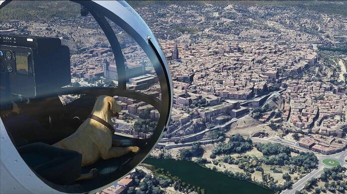 Screenshot_20210811-174701_Discord