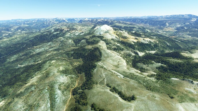 Microsoft Flight Simulator - 1.24.5.0 24.03.2022 11_31_36