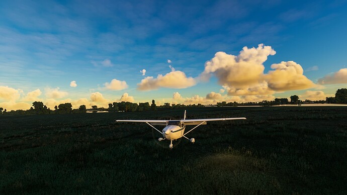 Microsoft Flight Simulator Screenshot 2022.04.28 - 20.08.38_edited