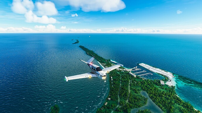 Microsoft Flight Simulator Screenshot 2022.04.26 - 08.39.47.12