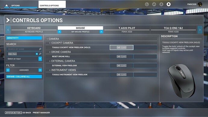 Microsoft Flight Simulator Screenshot 2022.07.04 - 09.27.35.76