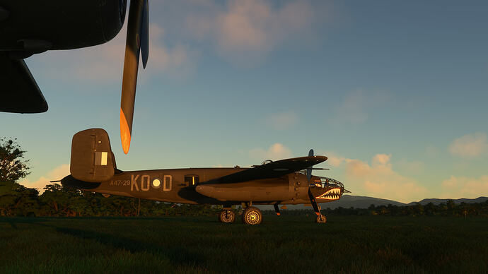 2026-05-19 13_18_55-Microsoft Flight Simulator - 1.39.12.0