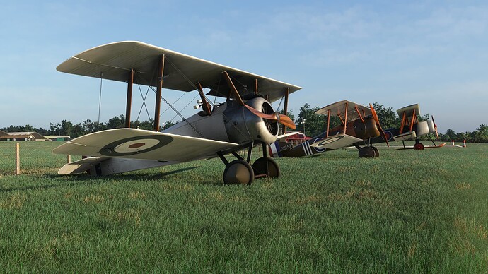 54694717872_53be5ac110_k