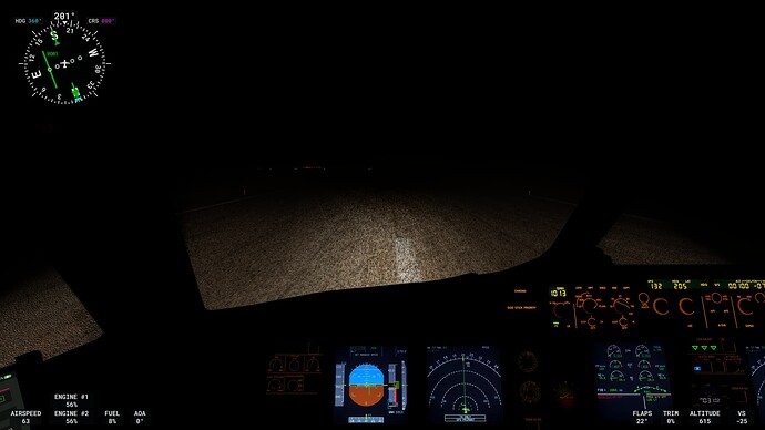 Microsoft Flight Simulator 26_03_2025 00_16_14