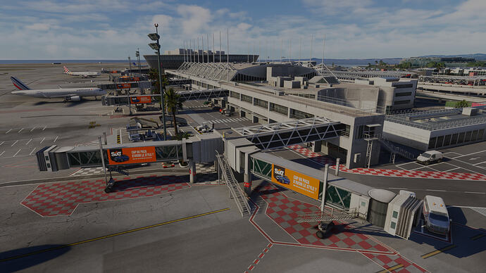 Microsoft Flight Simulator 2024 14_07_2026 03_07_58