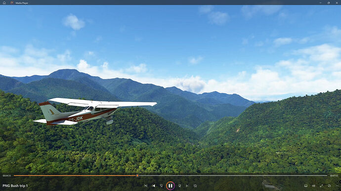 FS2020 2023-06-03 005