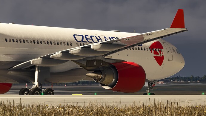 Microsoft Flight Simulator 2024 Screenshot 2024.12.31 - 17.46.35.32 (1)