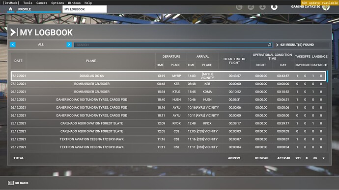 Microsoft Flight Simulator 02.01.2022 19_10_19