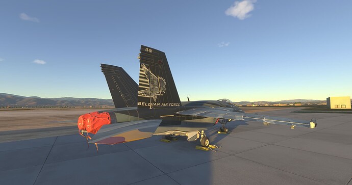 Microsoft Flight Simulator 2024-2025_06_01-09-56-12 1