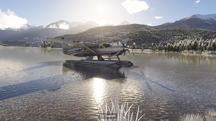 Microsoft Flight Simulator 2024 27.04.2025 16_36_44